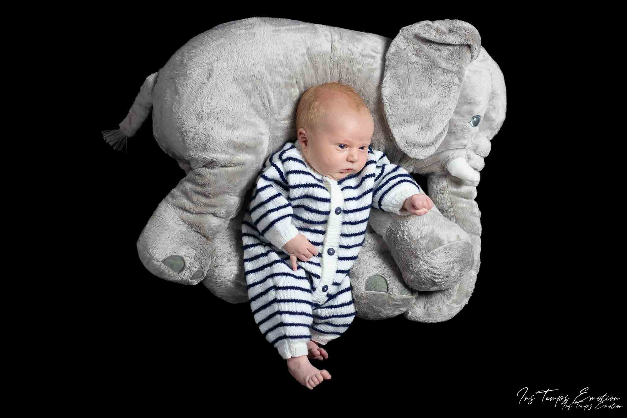 L'éléphant Image